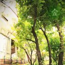 스튜디오 숲 이미지