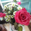 금순목장 이미지