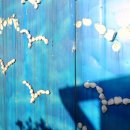 들꽃도자민박 | 기장 롯데월드 가족펜션 독채에 복층이라 힐링하기 좋은 곳