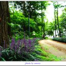 새암공원 이미지