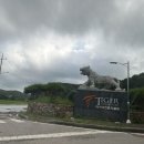 구상스크린골프(462) | 경기도 파주 2인 노캐디 골프장 추천 타이거cc 후기