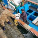 연안목장 이미지