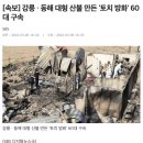 [속보] 강릉 · 동해 대형 산불 만든 '토치 방화' 60대 구속 이미지