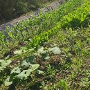 봉선공인중개사사무소 이미지