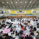 의성체육관 이미지