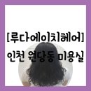 이상헤어 | 인천 서구 원당동] 아라역 근처 10년 이상 경력의 파마 맛집 &#34;루다에이치헤어&#34; 방문 후기(전후사진공유)