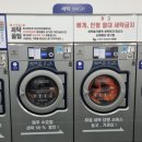 로뎀이불집