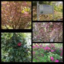 서천 남산성 이미지