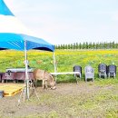 경포저류지 이미지