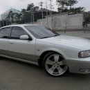 월드타이어 이미지