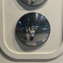 뽈뽈 청산 ..
