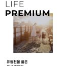 둔산백화점약국 이미지