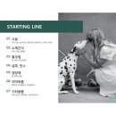 서울펫츠베이 이미지