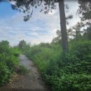 운주산농장 이미지