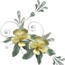 축복의집 이미지