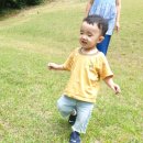 야채랑과일이랑 이미지