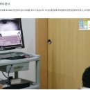오이비인후과의원 네이버블로그