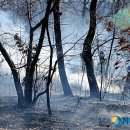 신창초교 이미지