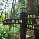 거창-주상-5 이미지