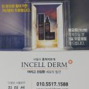 인셀덤굿뷰티 - 14965 | 인셀덤굿뷰티