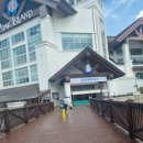 주)용평리조트 피크아일랜드 | 모나용평 용평리조트 워터파크 피크아일랜드 이용 솔직후기