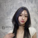 브로시스