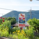 다래하우스펜션 이미지