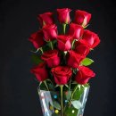 장미꽃 유나님~~ 수고 하십니다 이미지
