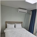 달리애견 이미지