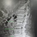 손철호재활의학과의원 이미지