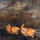 덤치킨 | 동문시장 야식 추천 <청년미남들 낭만장작점> 제주마농치킨 맛집 화려한 불쑈는 덤🔥