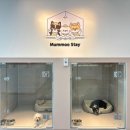 명지유치원 이미지