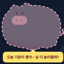 돈이돼지 네이버블로그
