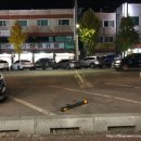 돈돼지먹어봐 이미지