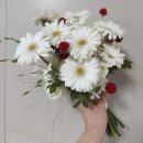 강동로-20 이미지