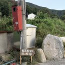 핑코하우스 네이버블로그