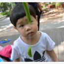 소망어린이집 이미지