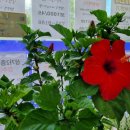 원주혁신제유공인중개사사무소 이미지