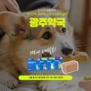 광주친절한동물약국 이미지