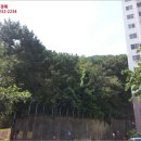 당리동-11 이미지