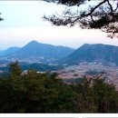 금화관광(주)