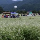 (주)효석 네이버블로그