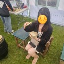 코스모스 | 🌸2025 구리 코스모스 축제 후기🌸