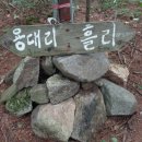 밤나무쉼터