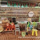 그리심농장 이미지