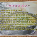 건아추어탕