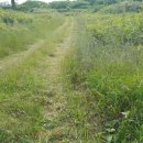 조천체육관 체육관 이미지