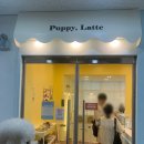 퍼피라떼 | 수원 호매실 애견카페 퍼피라떼 후기, 실내 깔끔한 강아지카페 추천