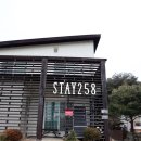 스테이 258 이미지