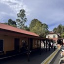 마음담아작은도서관 | (호주/오세아니아) 퍼핑빌리 투어, 오팔환급, 멜버른 도서관 후기